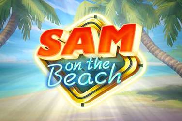 imgage Sam on the Beach
